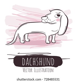 Ironic rosy linear dachshund on white backround with pink scratches. Vector illustration.