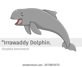 Irrawaddy Dolphin cartoon jump happily illustration. wildlife animal isolated. marine animal cartoon collection. Irrawaddy Dolphin Cartoon character