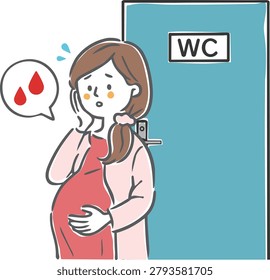 Irregular bleeding during pregnancy - Pregnant women - Vector
