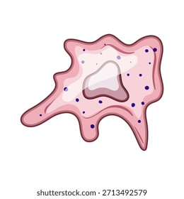 Patógenos com células imunitárias em movimento e engolfamento irregularmente moldados, um componente crucial do mecanismo de defesa do corpo contra doenças, apresentando uma estrutura ameboide e grânulos internos