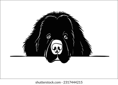 Irresistible Newfoundland dog head peeking with curiosity. High-quality EPS file  Instantly captivating, this adorable and expressive design is perfect for creative projects. 