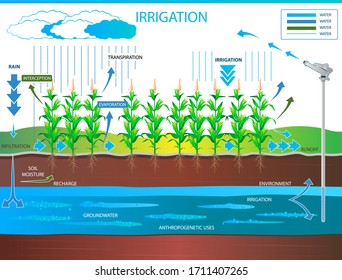 Irrigation as the artificial application of water to land for the purpose of agricultural production