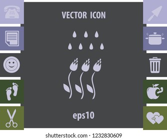 Irrigation flowers, vector icon