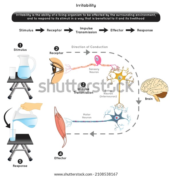 455 Effector Images, Stock Photos & Vectors | Shutterstock