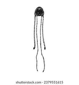 Irukandji Jellyfish hand drawing vector isolated on white background.