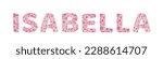 Isabella. Female name. Girl name is written by floral letters. Flower pink alphabet. Doodle style. Isolated vector illustration eps 10