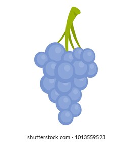 Isabella grapes icon. Cartoon illustration of isabella grapes vector icon for web