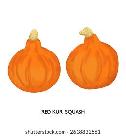 Ishikawa Prefecture_Kaga Vegetables - Illustration of Uchiki Akakawa Sweet Chestnut Pumpkin with Colored Pencils