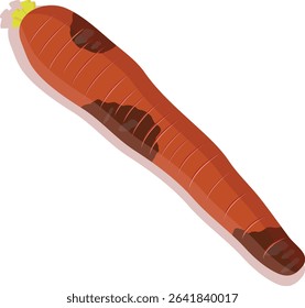 Isilated rottem carrot vector illustration