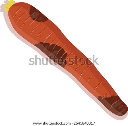 Isilated rottem carrot vector illustration
