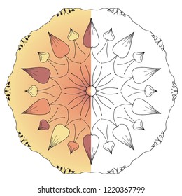 Islamic Art for Flowers Color and wireframe