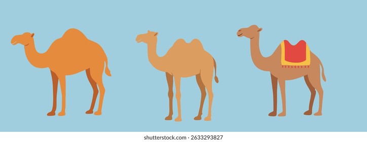 Islamic Camel Icon Collection for Eid al-Adha Qurban Animal Vector Illustration. Set for Hajj, Muslim Holiday, Arabic Festival Decoration, and Idul Adha Sacrifice Day Graphics