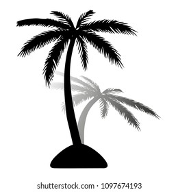 Island. Black silhouette of palm tree, with shadow on white background, vector