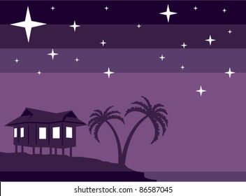 Island home at night vector