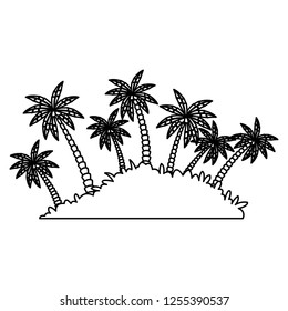 island palm tree