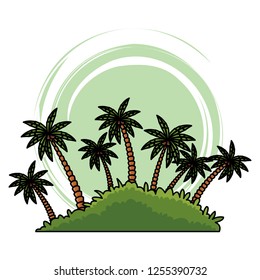 island palm tree