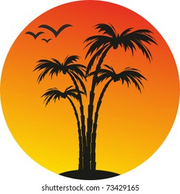 island, palms and sun. vector tropical background