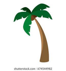 Island tree palms