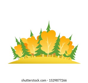 Islet of autumn forest. Yellow birch and green spruce. Cartoon isolated vector illustration.
