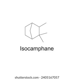 Isocamphane skeletal structure diagram.Monoterpene ketone compound molecule scientific illustration on white background.