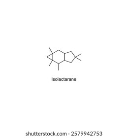 Isolactarane skeletal structure.Sesquiterpene compound schematic illustration. Simple diagram, chemical structure.