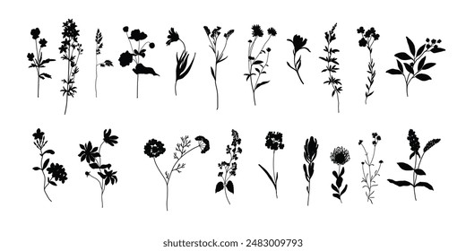 Aísle el elemento de Vector tríptico Clipart floral blanco y negro con flores silvestres y hoja dibujada a mano. Ilustración botánica estilo minimalista.