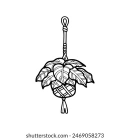 isolate black and white houseplants on background