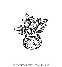 isolate black and white houseplants on background