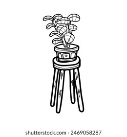 isolate black and white houseplants on background