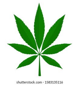 isolate cannabis leaf whitw background ,flat design