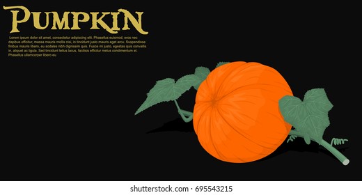 Isolate composition of pumpkin and leaf  on black background
