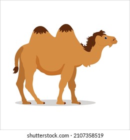 Isolate Flat Cartoon Desert Camel Vector