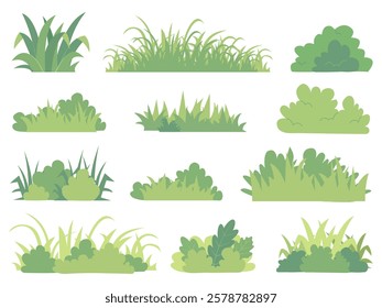 isolate green branch, grass silhouettes set. Hand drawn isolated illustrations.