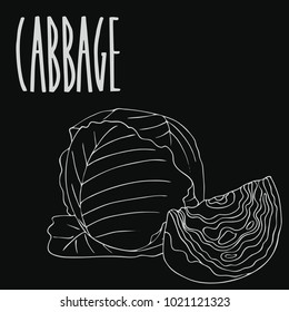 Isolate green cabbage vegetable as chalk on blackboard. Close up clipart in chalkboard style. Hand drawn icon. Vector illustration