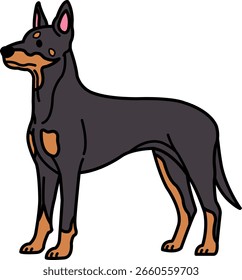 Icono aislado de un Doberman Pinscher 