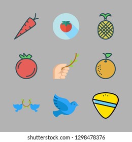 isolate icon set. vector set about tomatoes, orange, carrot and pigeon icons set.