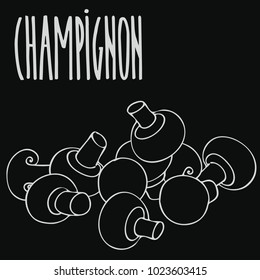 Isolate mushrooms champignon as chalk on blackboard. Close up clipart in chalkboard style. Hand drawn icon. Vector illustration