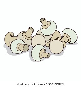 Isolate mushrooms champignon on white background. Close up clipart with shadow in flat realistic cartoon style. Hand drawn icon. Vector illustration