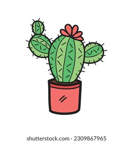 isolate organic castus houseplants element