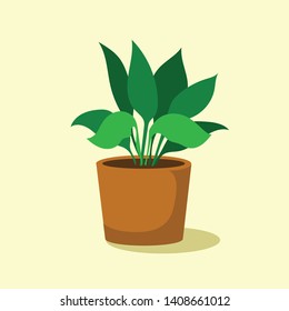 isolate of plant in pot. Vector, illustration.