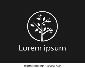 Isolate plant and root with isolate leaves look beautiful and refreshing. Tree and roots LOGO style.