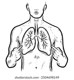 isolate for pneumonia treatment, lungs, man pointing at his lungs, line art style, organ, human, vector