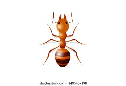 Isolate red fire ant on white background vector illustration
