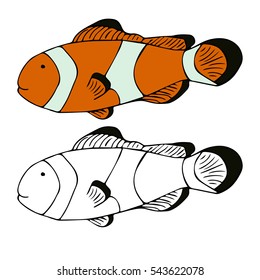 isolate red fish clown and black line vector on white background. Vector.