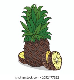 Isolate ripe ananas fruit on white background. Close up clipart with shadow. Hand drawn icon. Vector illustration