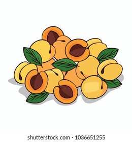 Isolate ripe apricot fruit on white background. Close up clipart with shadow in flat realistic cartoon style. Hand drawn icon. Vector illustration