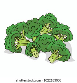 Isolate ripe broccoli stalks on white background. Close up clipart with shadow in flat realistic cartoon style. Hand drawn icon. Vector illustration