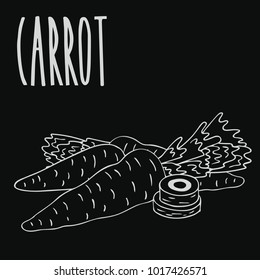 Isolate ripe carrot root vegetable as chalk on blackboard. Close up clipart in chalkboard style. Hand drawn icon. Vector illustration