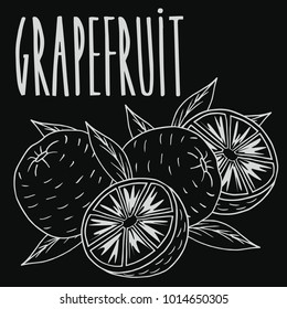 Isolate ripe grapefruit fruit as chalk on blackboard. Close up clipart in chalkboard style. Hand drawn icon. Vector illustration