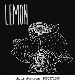 Isolate ripe lemon fruit as chalk on blackboard. Close up clipart in chalkboard style. Hand drawn icon. Vector illustration